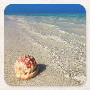 Porta-copo De Papel Quadrado Capacete Shell em Lagoon tropical Cassis Rufa
