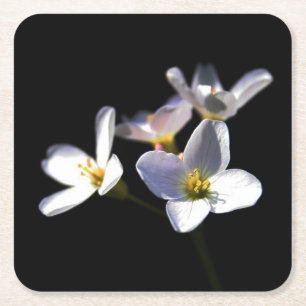 Porta-copo De Papel Quadrado Cardamine Pratensis Flowers Litercna