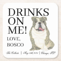 Casamento de Cachorro Brindle e White English Bull