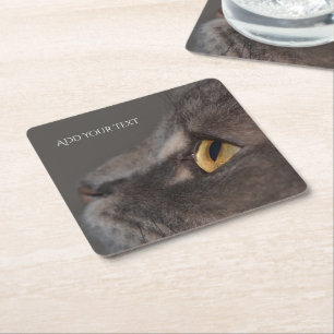 Porta-copo De Papel Quadrado Cat Eye-Macro por Shirley Taylor Square