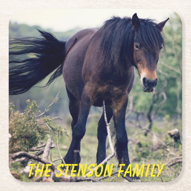 Porta-copo De Papel Quadrado Cavalo Selvagem de Fecho (Frente)