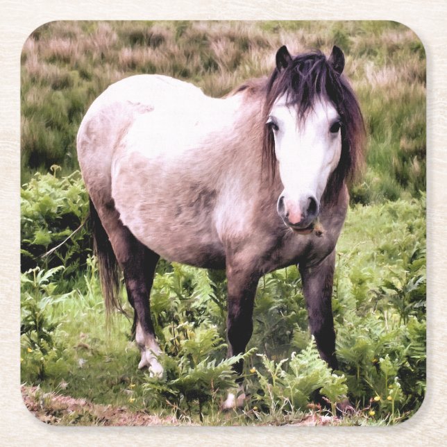 PORTA-COPO DE PAPEL QUADRADO CAVALOS (Frente)
