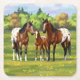Porta-copo De Papel Quadrado Cavalos De Marrom Da Baía Appaloosa Em Pastagem D