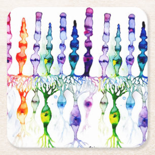 Porta-copo De Papel Quadrado Células de cone e neurônio bipolar da retina