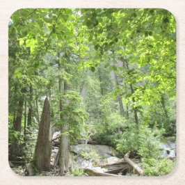 Porta-copo De Papel Quadrado Cena da Floresta Verde Mágica.