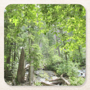 Porta-copo De Papel Quadrado Cena da Floresta Verde Mágica.