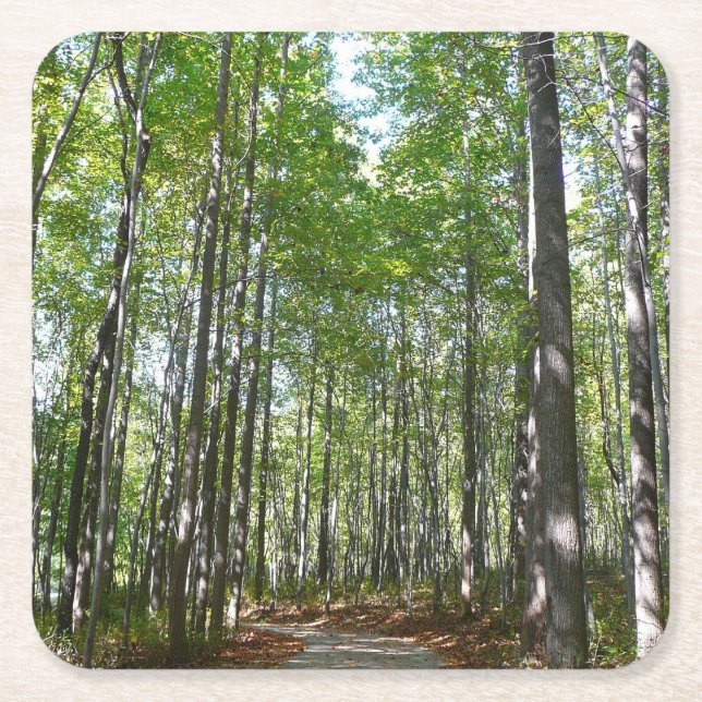 Porta-copo De Papel Quadrado Centennial Wooded Path II Ellicott City Maryland (Frente)