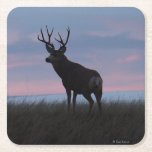 Porta-copo De Papel Quadrado Cervo Mulo D3 Sunrise Buck