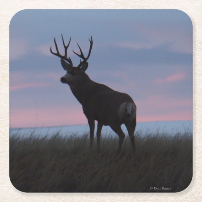 Porta-copo De Papel Quadrado Cervo Mulo D3 Sunrise Buck (Frente)