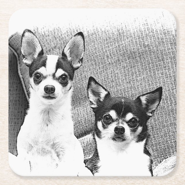 Porta-copo De Papel Quadrado Chihuahua (Frente)