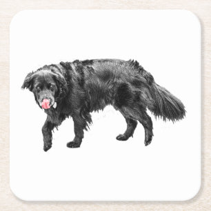 Porta-copo De Papel Quadrado Cinnamon Steam, Scarlet Lick