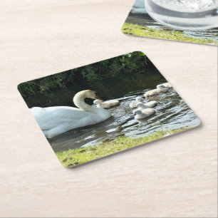 Porta-copo De Papel Quadrado Cisne branco com Pintinhos