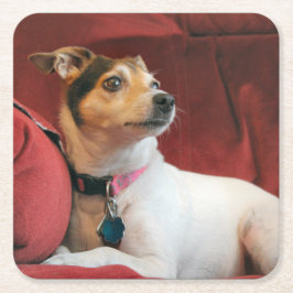 Porta-copo De Papel Quadrado Clássico