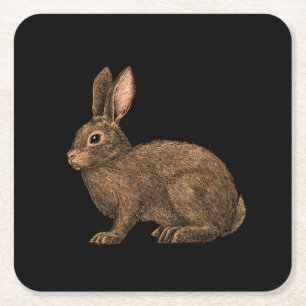 Porta-copo De Papel Quadrado Coelho 2