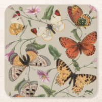 Coleção de Desenhos de Mariposa Borboleta Natureza