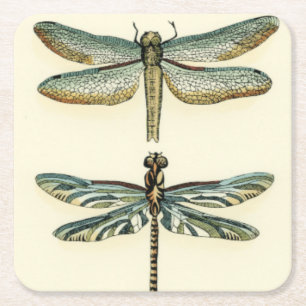 Porta-copo De Papel Quadrado Coleção de Dragonfly por Chariklia Zarris