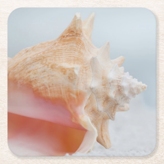 Porta-copo De Papel Quadrado Conch Shell | Florida (Frente)