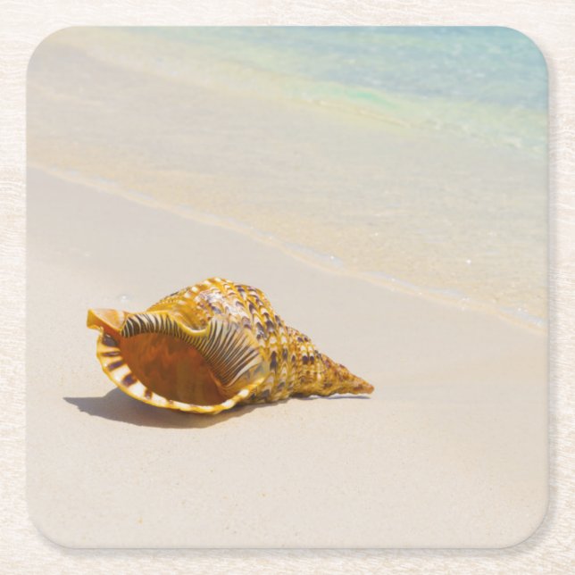 Porta-copo De Papel Quadrado Conch Shell na praia 3 (Frente)