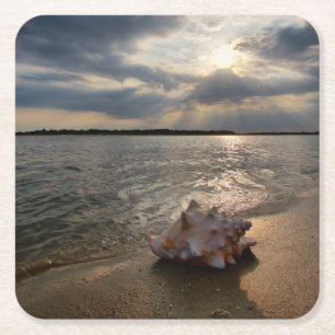 Porta-copo De Papel Quadrado Conch Shell na praia   St Augustine, Fl