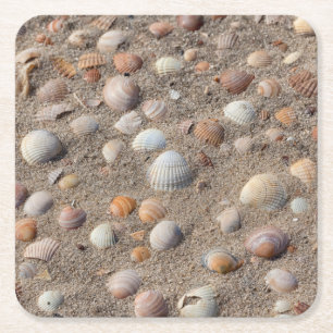 Porta-copo De Papel Quadrado Conchas marítimas na praia