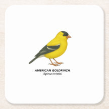 Conjunto de portas copos