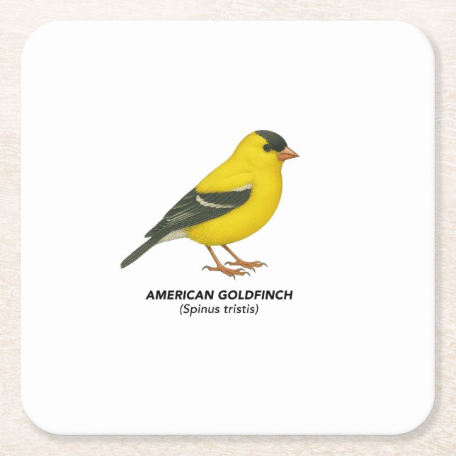 Porta-copo De Papel Quadrado Conjunto de portas copos (Frente)