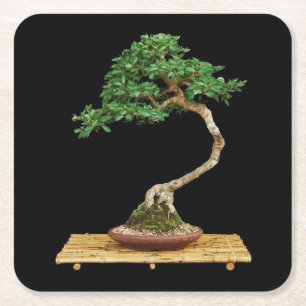 Porta-copo De Papel Quadrado Conjunto de Portas copos Bonsai Tree
