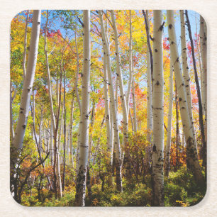 Porta-copo De Papel Quadrado Cores de outono das árvores Aspen 5