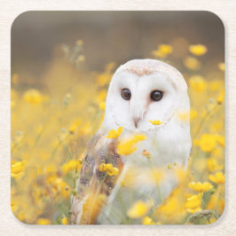 Porta-copo De Papel Quadrado Coruja de celeiro no campo de flor amarelo