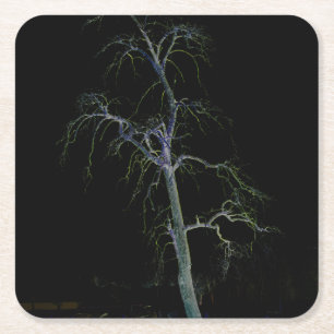 Porta-copo De Papel Quadrado Costa Escura 8