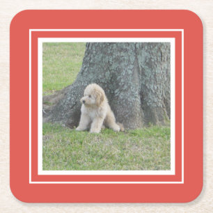 Porta-copo De Papel Quadrado Crie o seu próprio modelo de fotografia Coral e Br