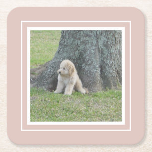 Porta-copo De Papel Quadrado Crie o seu próprio modelo de fotografia rosa e bra