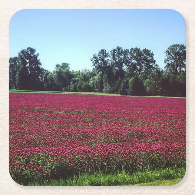 Porta-copo De Papel Quadrado Crimson Clover Field (Frente)
