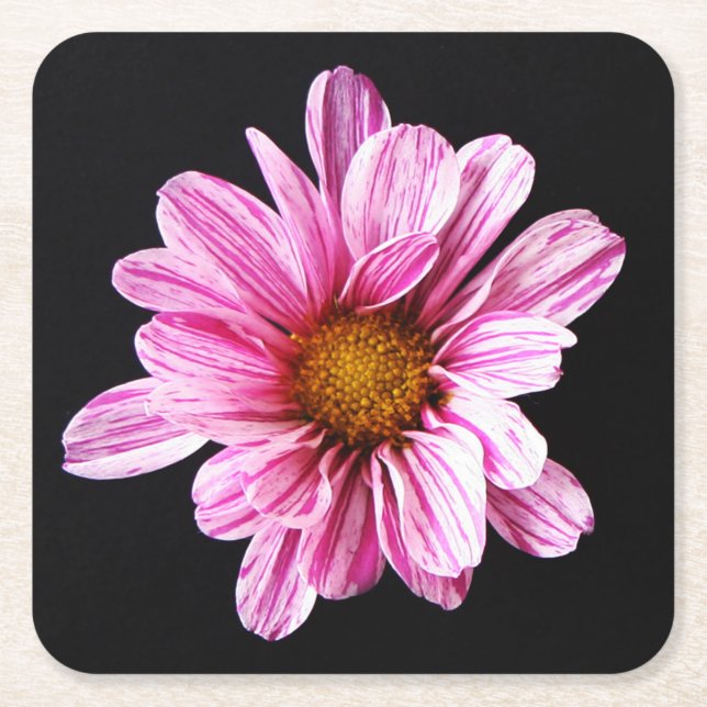 Porta-copo De Papel Quadrado Crysanthemum Flower Litercnm (Frente)