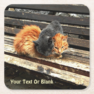 Porta-copo De Papel Quadrado Cuecas Catnap