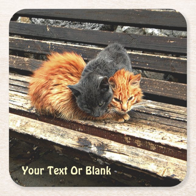 Porta-copo De Papel Quadrado Cuecas Catnap (Frente)