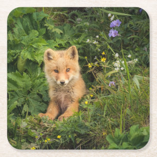 Porta-copo De Papel Quadrado Cutest Baby Animals Red Fox at Umnak Alaska