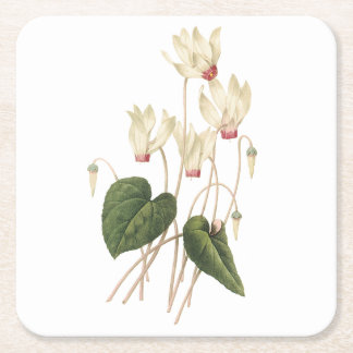 Porta-copo De Papel Quadrado Cyclamen (Cyclamen sp.), por Redouté