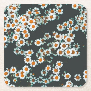 Porta-copo De Papel Quadrado Daisy Daisies Floral
