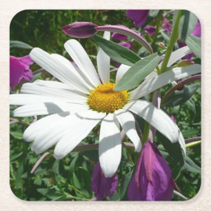 Porta-copo De Papel Quadrado Daisy e Fireweed