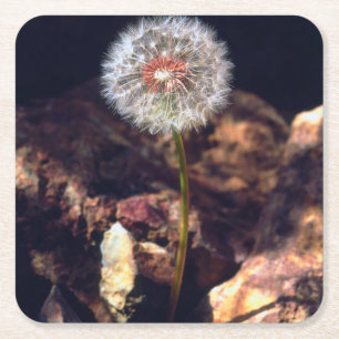 Porta-copo De Papel Quadrado Dandelion