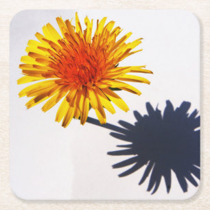 Porta-copo De Papel Quadrado Dandelion e o litoral sombra