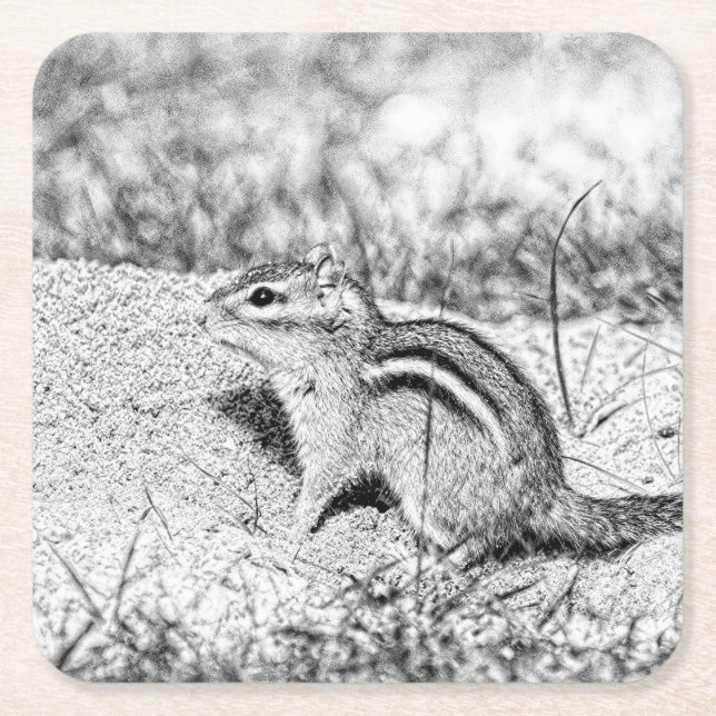 Porta-copo De Papel Quadrado Desenho do Chipmunk (Frente)