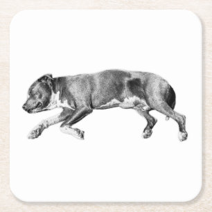 Porta-copo De Papel Quadrado Deslize para a calmaria - Deslize detalhado do cão