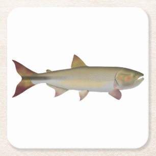 Porta-copo De Papel Quadrado Dorado