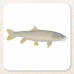 Porta-copo De Papel Quadrado Dourado Mahseer