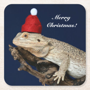 Porta-copo De Papel Quadrado Dragão Carborado Personalizado Lizard - Santa Chap