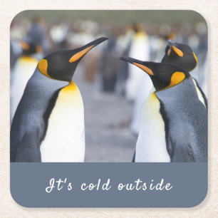 Porta-copo De Papel Quadrado Está frio fora da foto do Rei Pinguin com texto