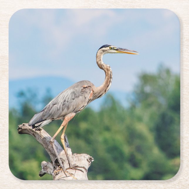 Porta-copo De Papel Quadrado Excelente Blue Heron (Frente)