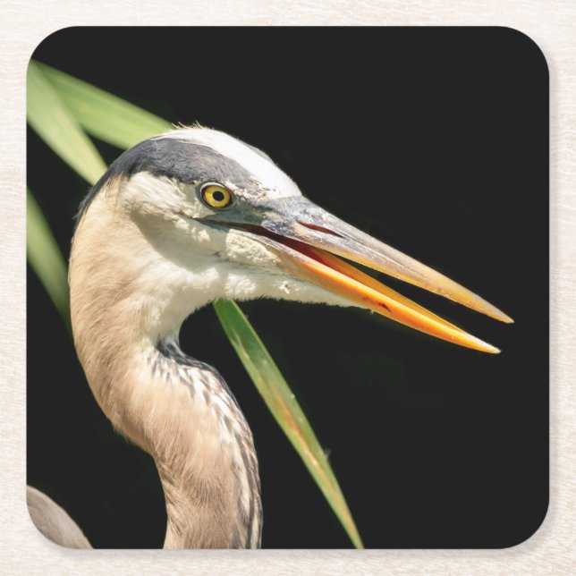 Porta-copo De Papel Quadrado Excelente Blue Heron (Frente)